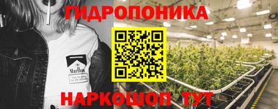 спиды Краснознаменск