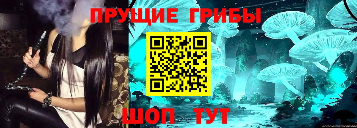 Псилоцибиновые грибы Magic Shrooms  Вход с VPN  Когалым  Галлюциногенные грибы MAGIC MUSHROOMS 